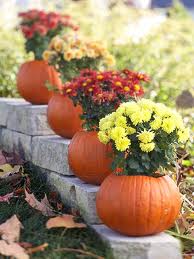 Add mums for beautiful fall display