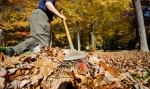 A few hints when raking your lawn this fall.